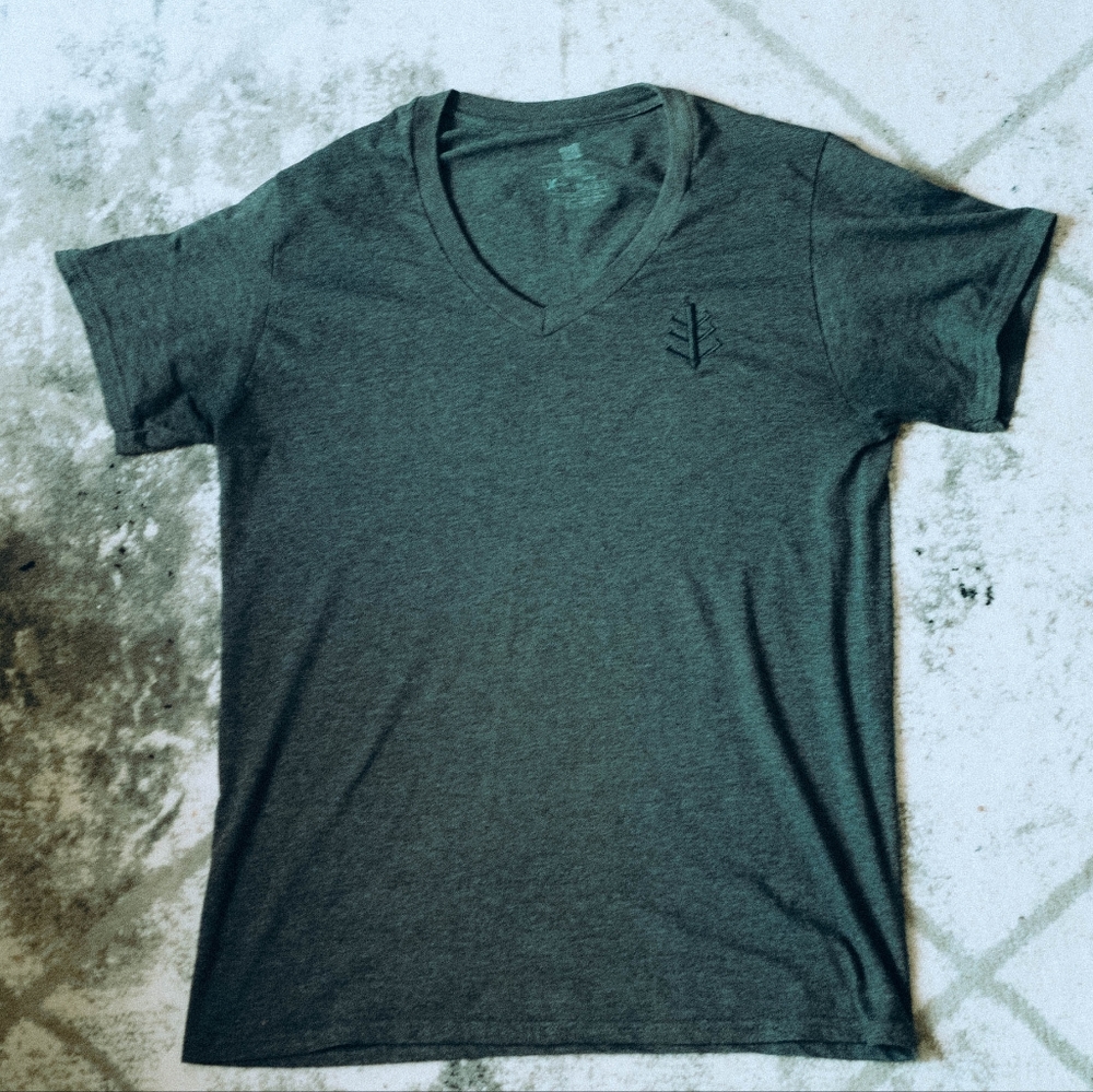 Monster within apparel men's v-neck shirt